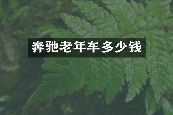 奔驰老年车多少钱