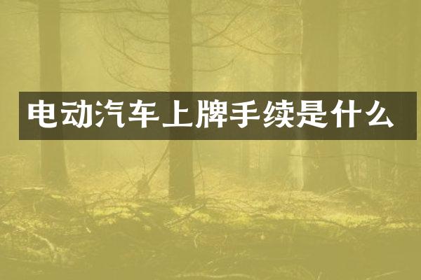 电动汽车上牌手续是什么