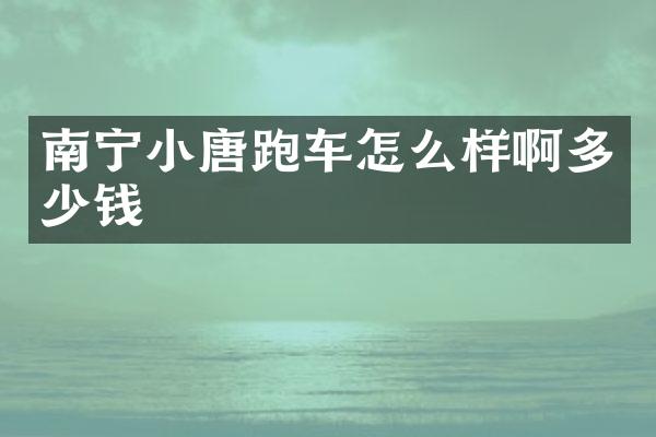 南宁小唐跑车怎么样啊多少钱