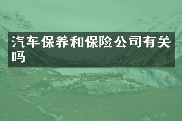 汽车保养和保险公司有关吗