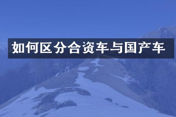 如何区分合资车与国产车
