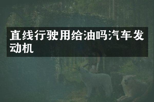 直线行驶用给油吗汽车发动机