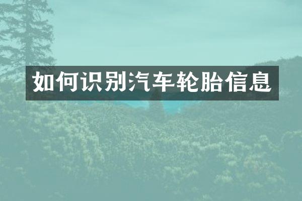 如何识别汽车轮胎信息