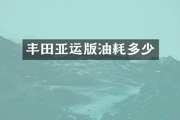 丰田亚运版油耗多少