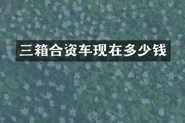 三箱合资车现在多少钱