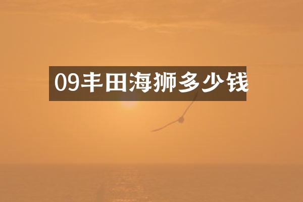 09丰田海狮多少钱