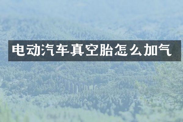 电动汽车真空胎怎么加气