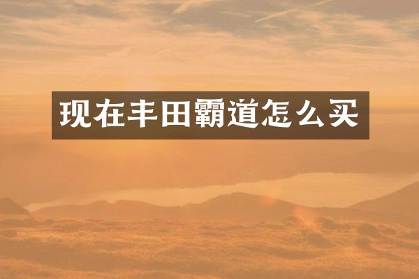 现在丰田霸道怎么买
