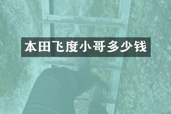 本田飞度小哥多少钱