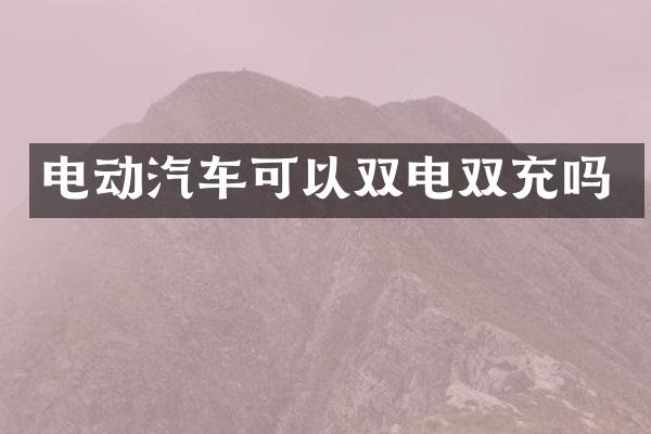 电动汽车可以双电双充吗