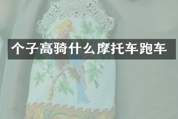 个子高骑什么摩托车跑车