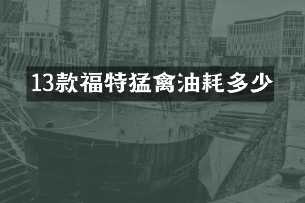 13款福特猛禽油耗多少
