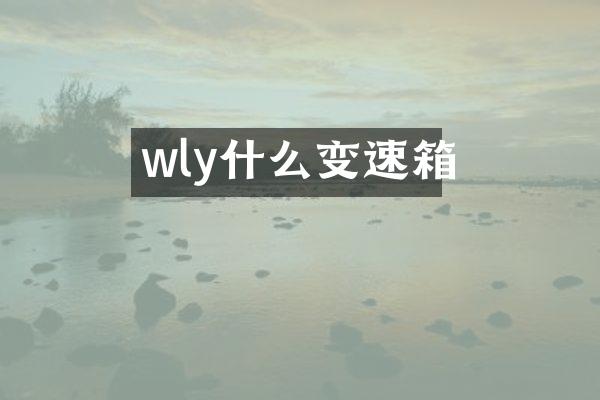 wly什么变速箱