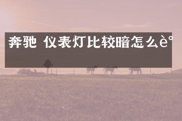 奔驰 仪表灯比较暗怎么调