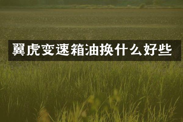 翼虎变速箱油换什么好些