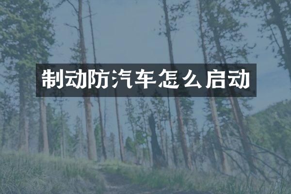 制动防汽车怎么启动