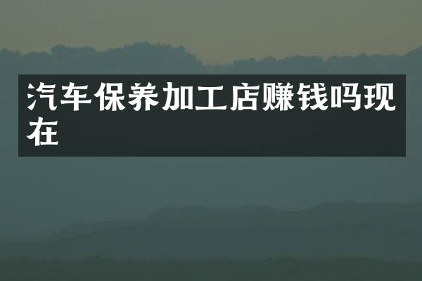 汽车保养加工店赚钱吗现在