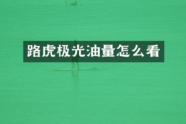 路虎极光油量怎么看