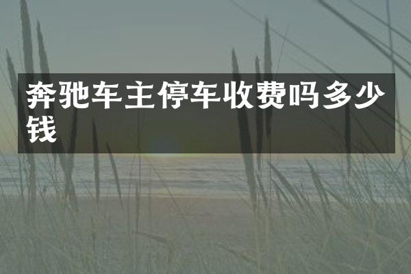 奔驰车主停车收费吗多少钱