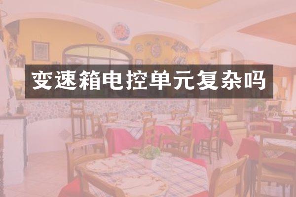 变速箱电控单元复杂吗