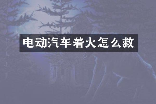 电动汽车着火怎么救