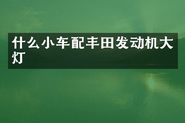 什么小车配丰田发动机大灯