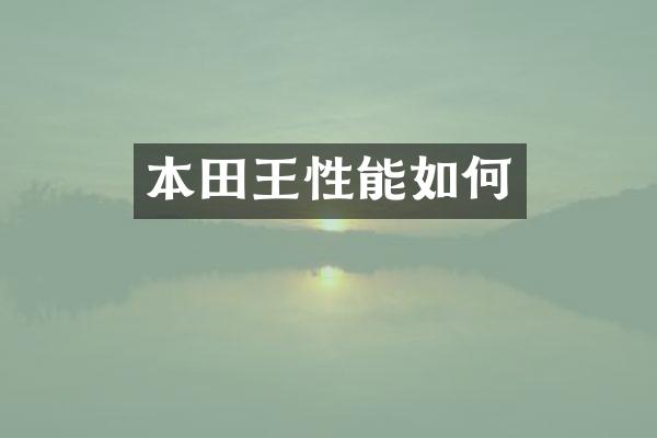 本田王性能如何