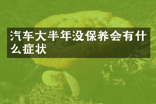 汽车大半年没保养会有什么症状