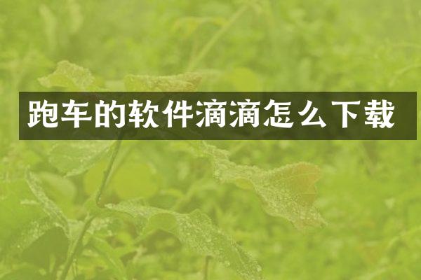 跑车的软件滴滴怎么下载