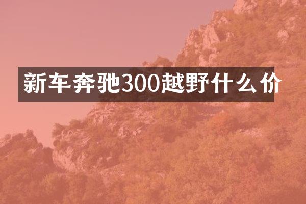 新车奔驰300越野什么价