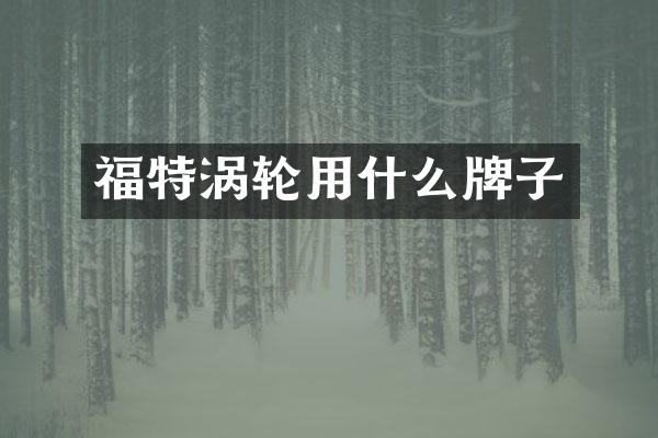 福特涡轮用什么牌子