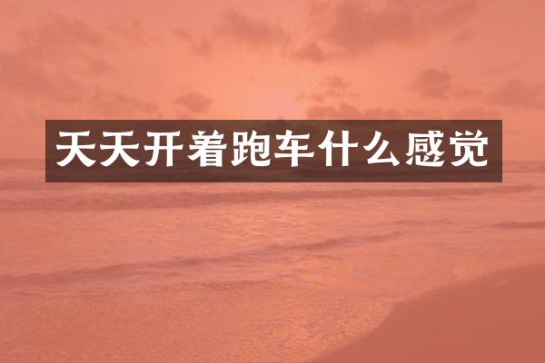 天天开着跑车什么感觉