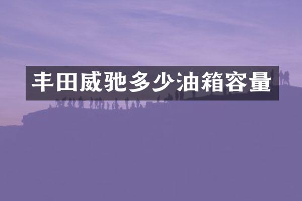 丰田威驰多少油箱容量
