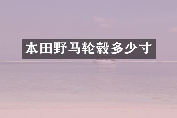 本田野马轮毂多少寸