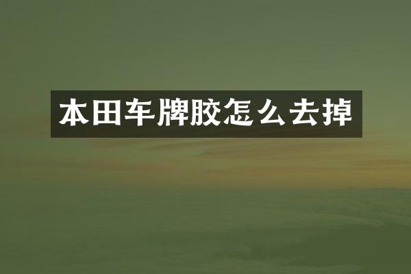 本田车牌胶怎么去掉