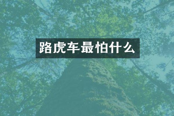 路虎车最怕什么