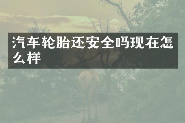 汽车轮胎还安全吗现在怎么样