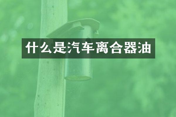 什么是汽车离合器油