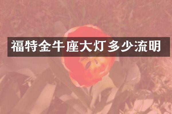 福特金牛座大灯多少流明