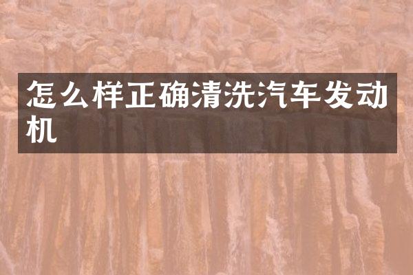怎么样正确清洗汽车发动机