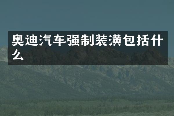 奥迪汽车强制装潢包括什么