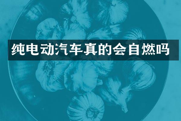纯电动汽车真的会自燃吗