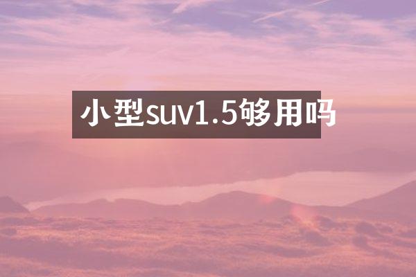 小型suv1.5够用吗