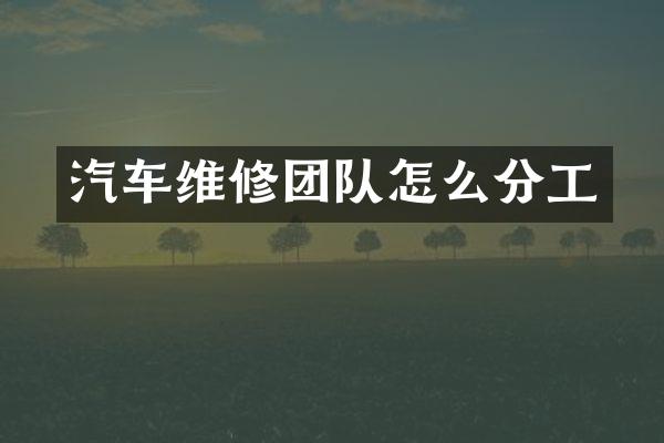 汽车维修团队怎么分工