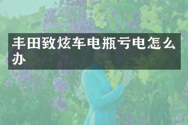 丰田致炫车电瓶亏电怎么办