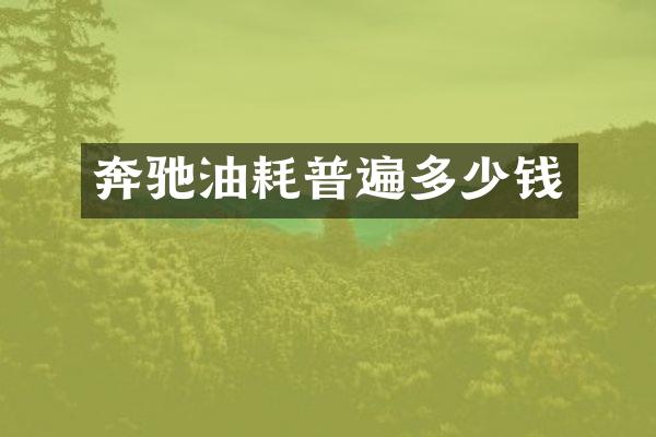 奔驰油耗普遍多少钱
