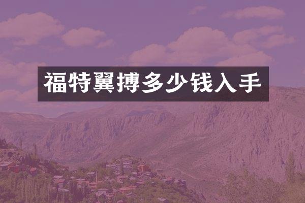 福特翼搏多少钱入手