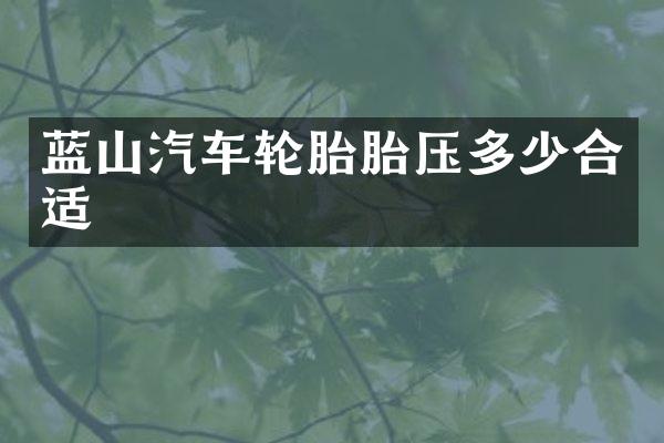 蓝山汽车轮胎胎压多少合适