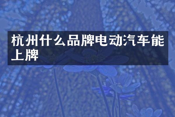 杭州什么品牌电动汽车能上牌