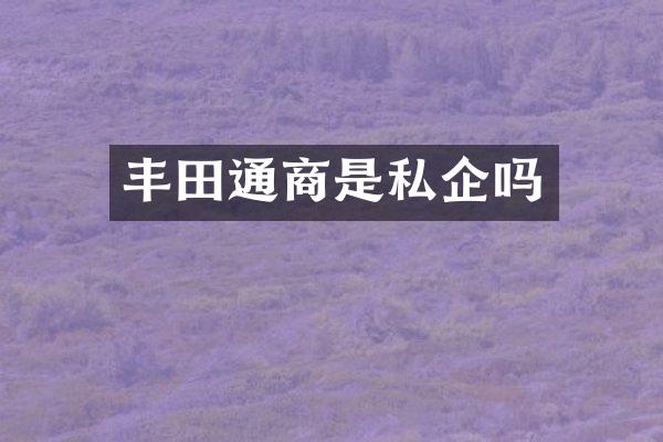 丰田通商是私企吗